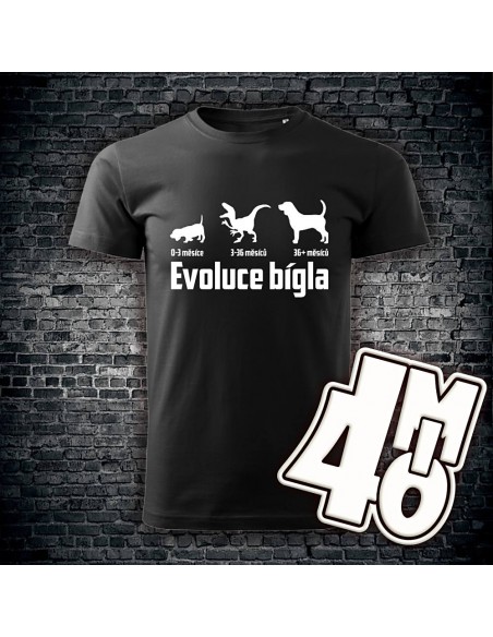 Pánské tričko Evoluce bígla